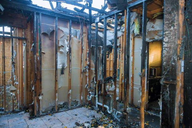 Professional Fire Damage Repair technician working in Orchard Homes, MT
